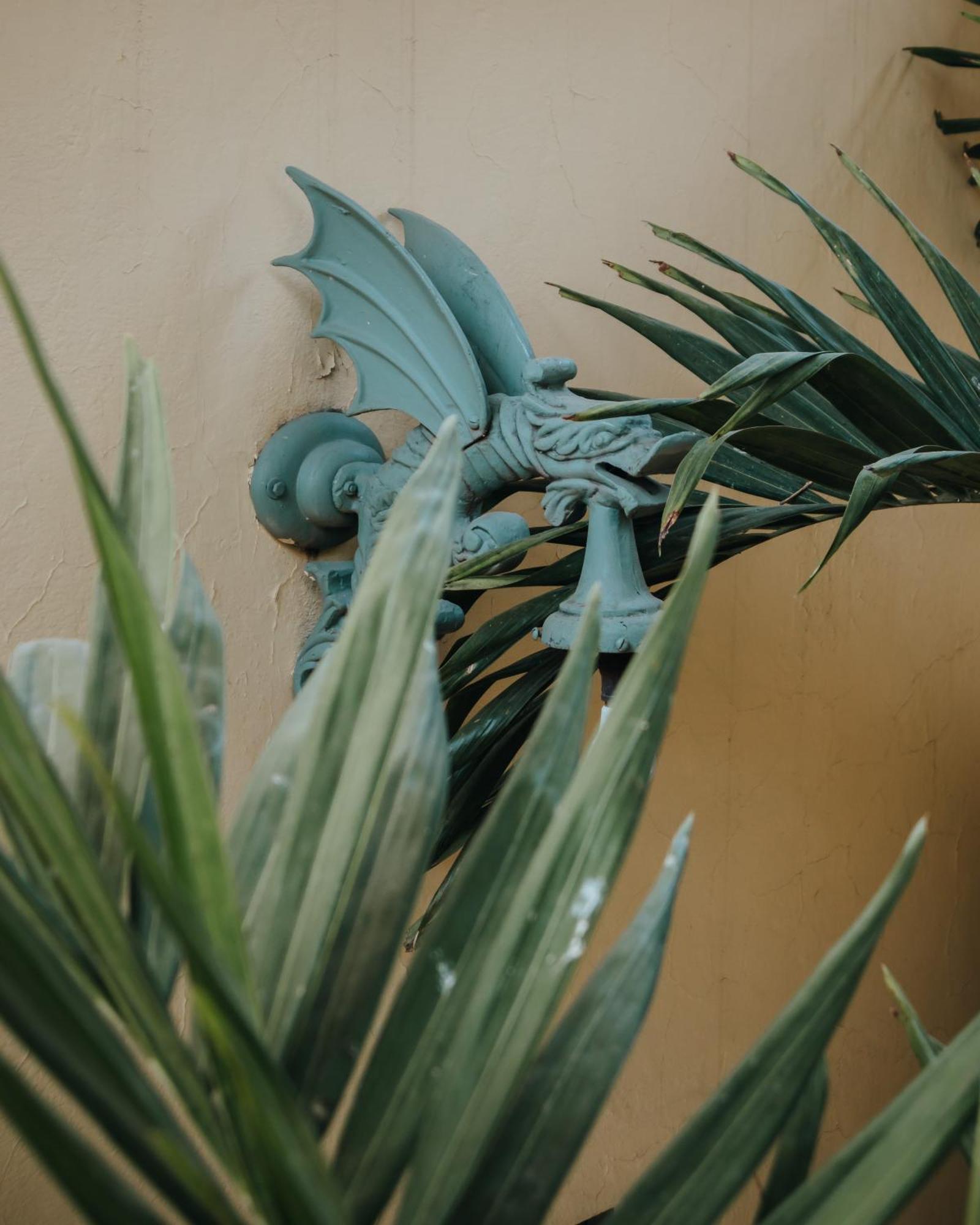 Casa Florida Bed & Breakfast San Miguel de Allende Eksteriør bilde